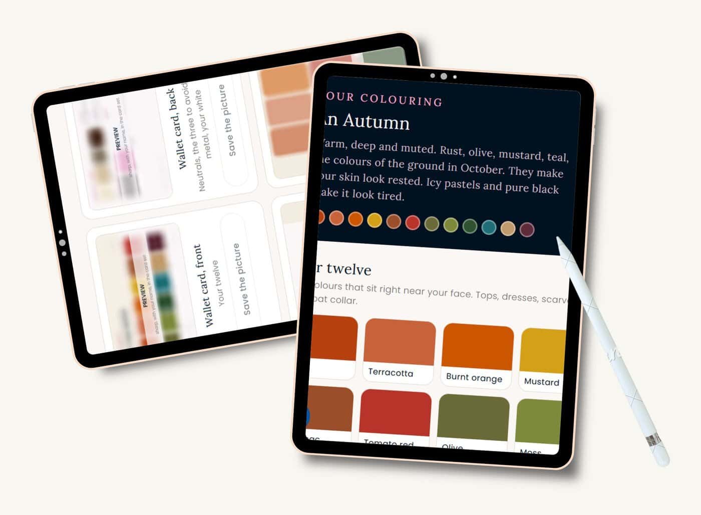 Your Palette Card on screen