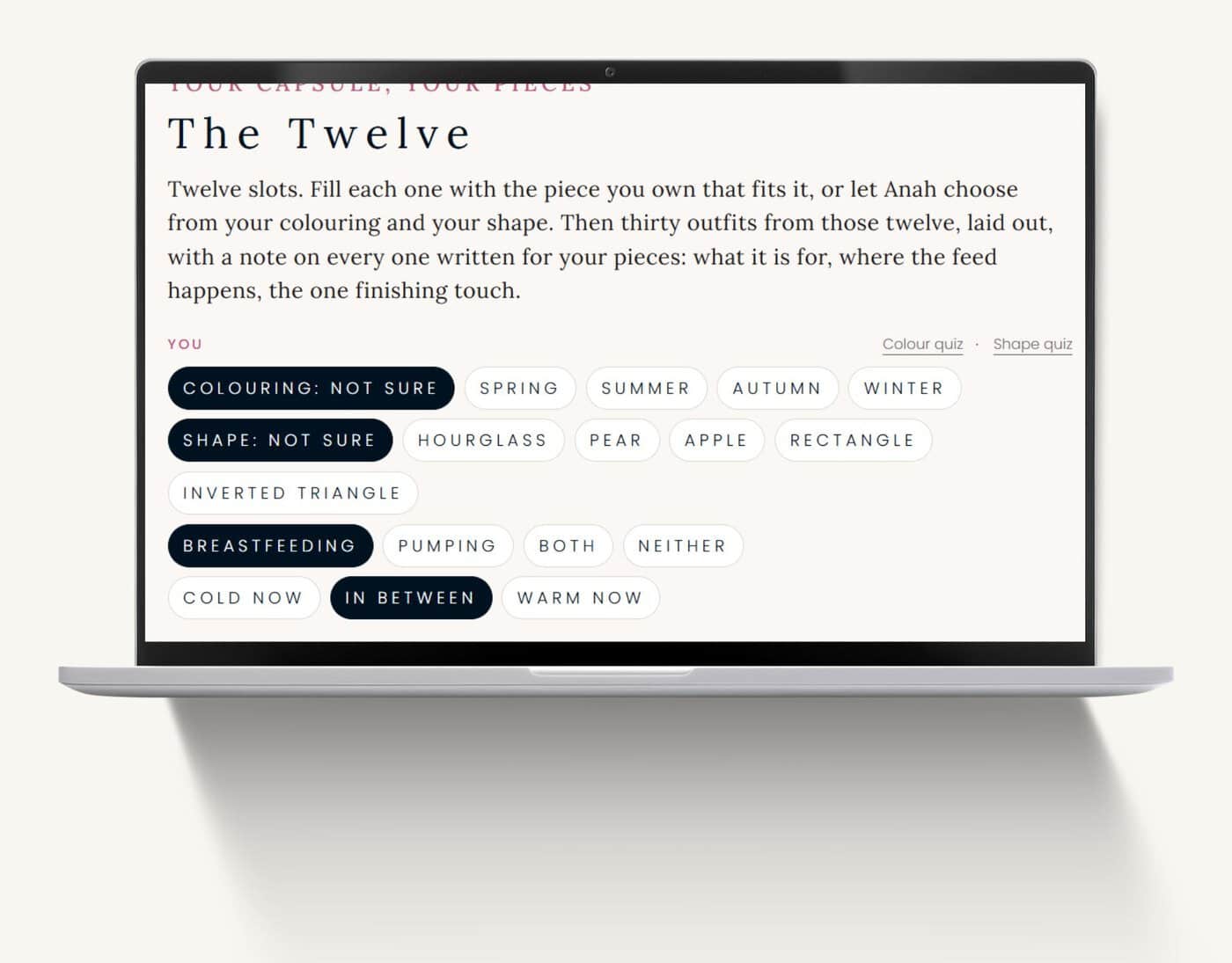 The Twelve on screen