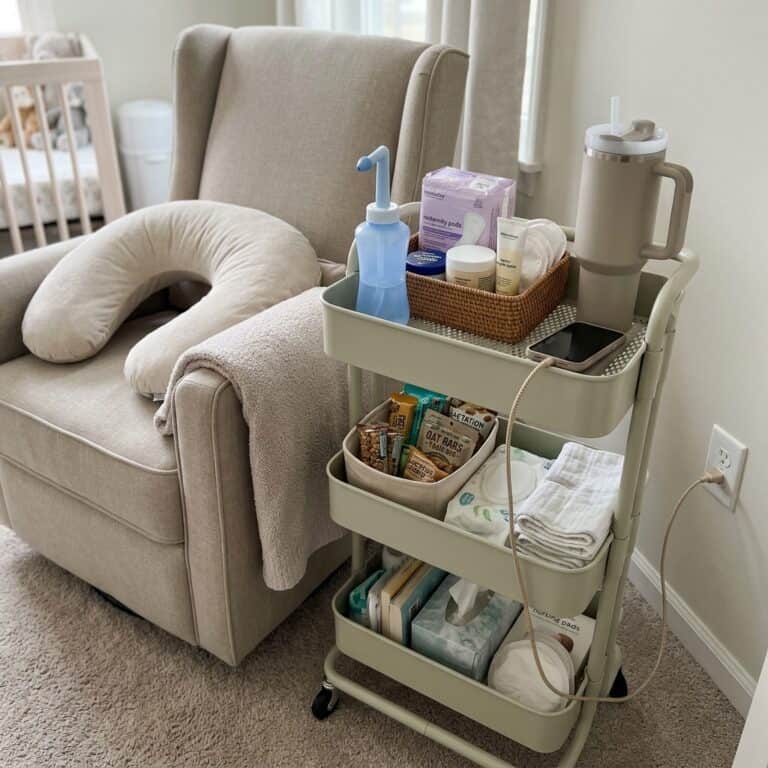 Gentle Postpartum Care Essentials for Breastfeeding Moms on Amazon